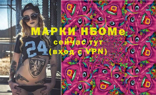 гашик Алзамай